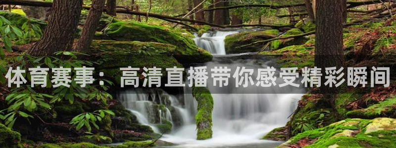 nba在线观看免费观看说球帝：体育赛事：高清直播带你感受精彩瞬间