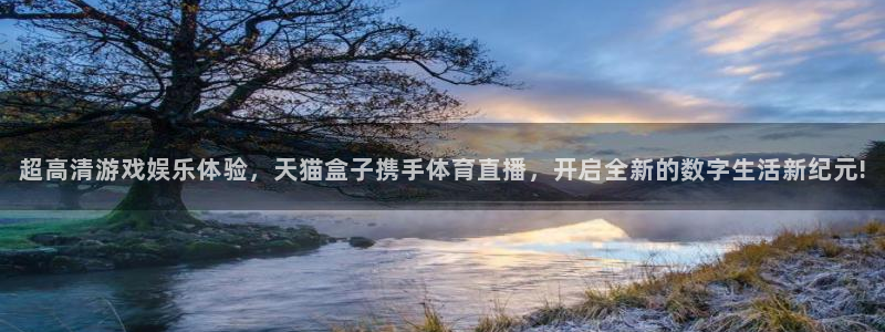 说球帝nba直播在线观看免费下载：超高清游戏娱乐体验，天猫盒子携手体育直播，开启全新的数字生活新纪元!