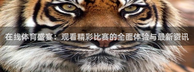 说球帝快直播：在线体育盛宴：观看精彩比赛的全面体验与最新资讯