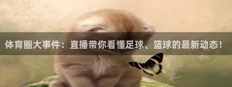 说球帝直播平台：体育圈大事件：直播带你看懂足球、篮球的最新动态！