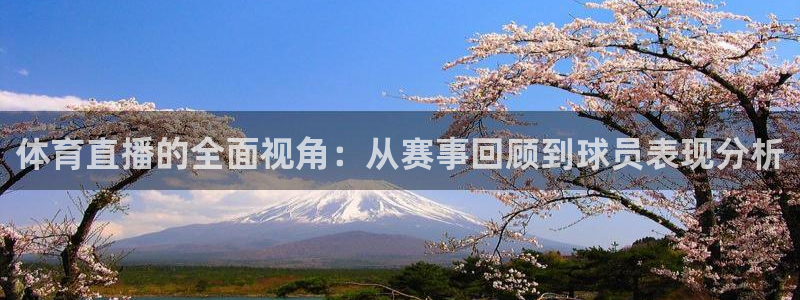 nba直播在线观看说球帝：体育直播的全面视角：从赛事回顾到球员表现分析