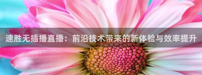 说球帝直播免费观看入口：速胜无插播直播：前沿技术带来的新体验与效率提升