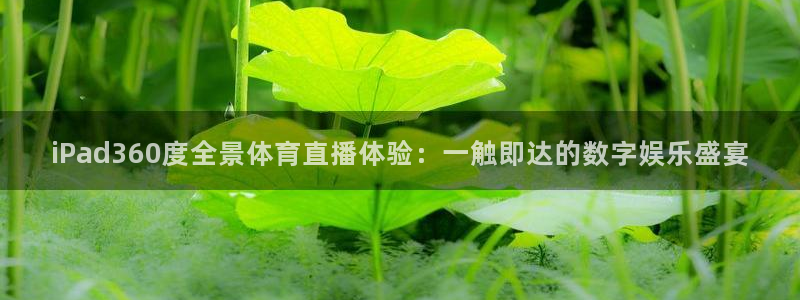 说球帝tv：iPad360度全景体育直播体验：一触即达的数字娱乐盛宴