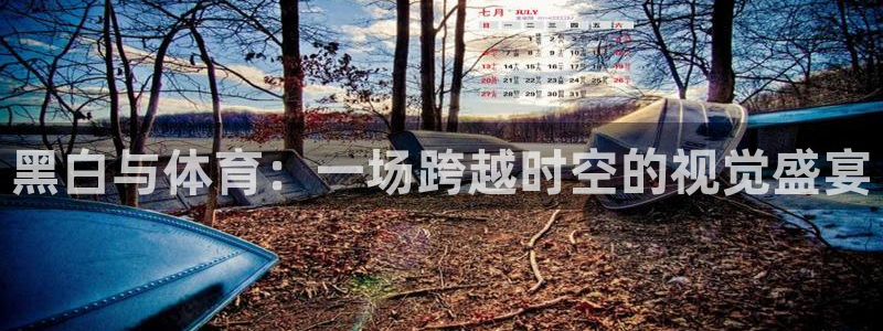 nba免费直播说球帝：黑白与体育：一场跨越时空的视觉盛宴