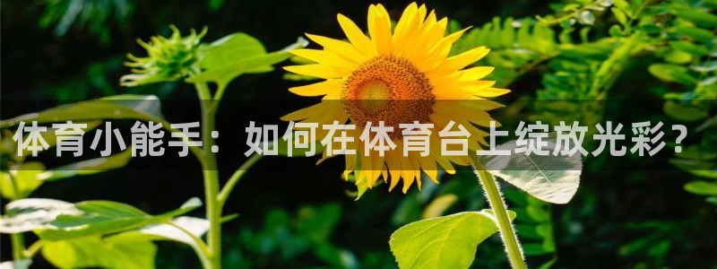 nba直播说球帝在线观看：体育小能手：如何在体育台上绽放光彩？