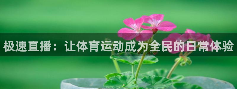 说球帝免费观看篮球直播：极速直播：让体育运动成为全民的日常体验