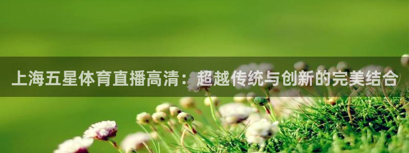 nba免费直播说球帝：上海五星体育直播高清：超越传统与创新的完美结合