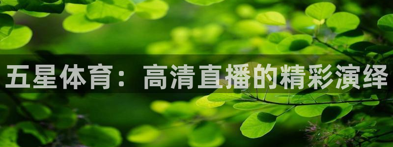 说球帝直播nba：五星体育：高清直播的精彩演绎